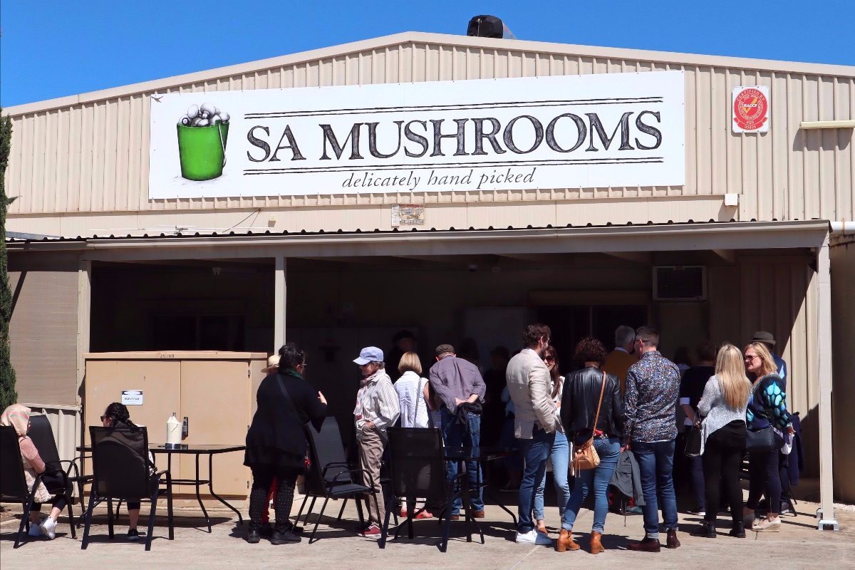 SA Mushrooms 2020 Event Photo